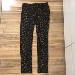 Gianni Bini leopard pants